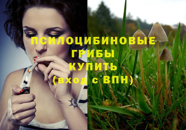 apvp Арсеньев