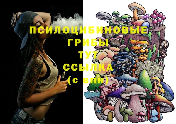 MDMA Premium VHQ Бронницы