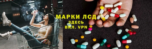 apvp Бородино