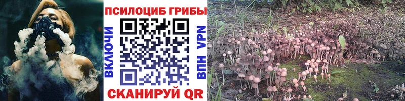 Галлюциногенные грибы мухоморы  Печора 